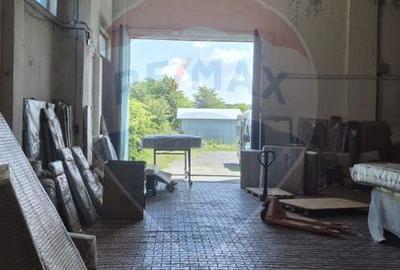 Complex Industrial DN1, Hală 1.214 mp + Showroom P+1 1.021 mp - 3