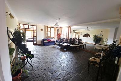 Hotel / Pensiune cu 7 camere de vânzare - 41