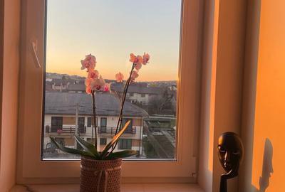 Apartament 2 camere decomandat + Loc parcare Valea Adanca Panoramic - 6