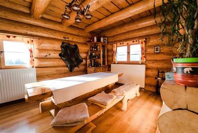 Casa din busteni cu ferma zootehnica si afacere (Tengheler, Com. Ditrau) - 5