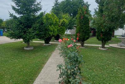 Snagov- Gruiu- Santul Floresti -Proprietate cu stil pentru oameni gospodari! - 42