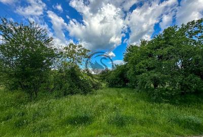 Teren agricol intravilan de 3600 mp, în Gura Vitioarei