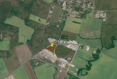 Teren intravilan 32.800 mp Dumbrăvița-Covaci | hale / investiție - 9