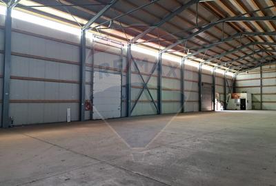 Hala industrială depozitare 1.000 mp de închiriat – Centura București - 2