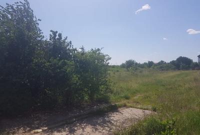Teren intravilan, str.Lunca Bisericii, in suprafata de 2500 mp/ d = 24 m. - 5