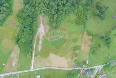 Teren2058mp Dambovicioara la poalele parcului National Piatra Craiului - 17