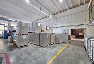 Hale Industriale 5065 mp de vanzare Str. Bradului - Bacau - 4
