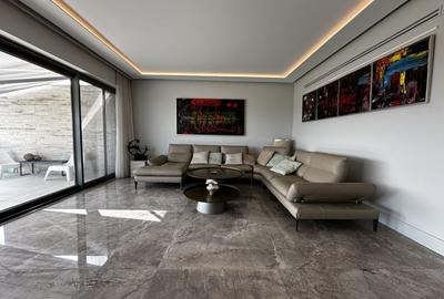 Penthouse Spatios cu Vedere catre Lac in Floreasca - 3
