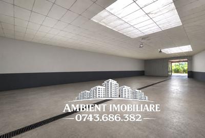Spatiu comercial - HALA producție/depozitare, VASLUI zona MOVAS; - 6