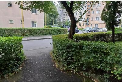 Apartament  2 camere Aleea Mimozei - 9