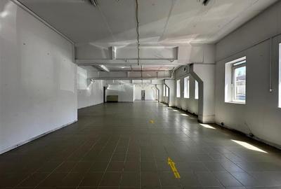 Spatii comerciale birouri Calea Chisinaului Leroy de la 67mp la 500mp - 3