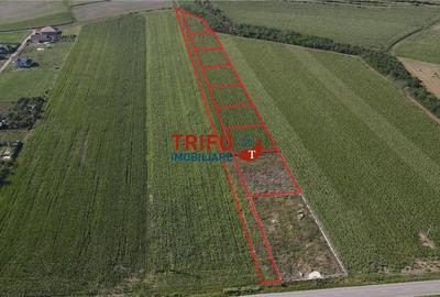 Teren Construcții intravilan de 1000 mp, în Ighiu