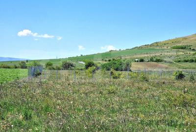 Teren agricol extravilan de 1000 mp, în Florești
