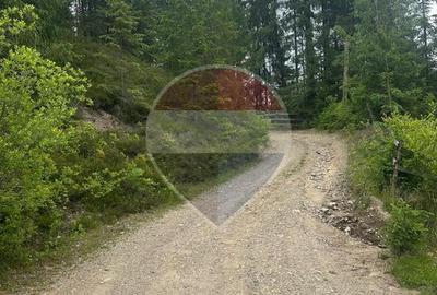 Teren 2,42 ha in Poiana Horea | Cadru montan | Potential turistic - 1