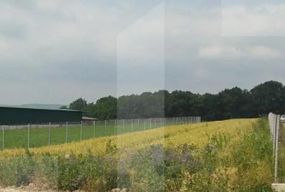 Teren Construcții intravilan de 2561 mp, în Est