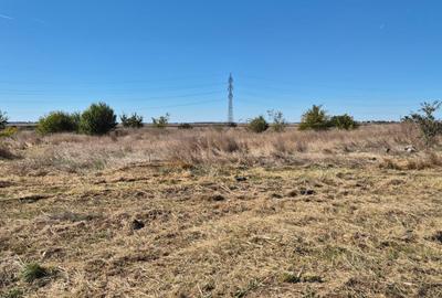 Teren intravilan Zona Veterani Sud - 1