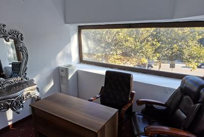 Vila reprezentativa, Clinica,Birouri, Showroom Premium , Ultracentral, Romana - 6