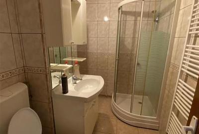 Apartament 2 camere decomandat zona Podgoria-Malul Muresului - 10