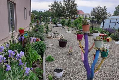 Proprietate Exclusiva de Vanzare in Palazu Mare – 1.412 mp teren - 10