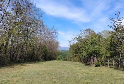 Teren zona montana in com.Turcinesti Jud.Gorj - 12