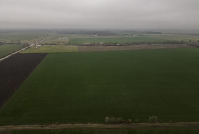 Teren agricol extravilan de 84000 mp, în Exterior Vest