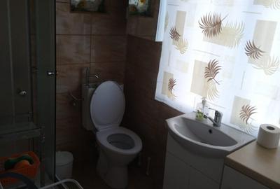Casa de Inchiriat | 5 camere | 4 bai | zona Cetate - 11