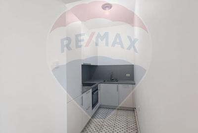 Apartament 3 camere pentru inchiriere - zona Aviatorilor - Primaverii - 7