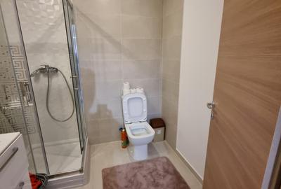 Apartament mobilat si utilat in Rin Grand Hotel- Vitan Barzesti - 8