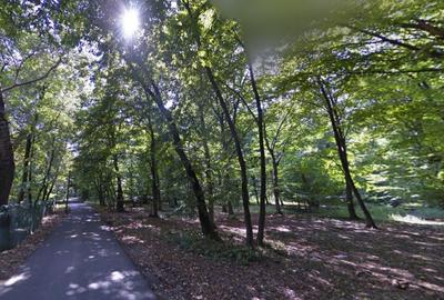 Teren Construcții intravilan de 2530 mp, în Snagov