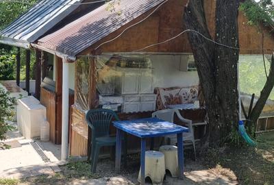 Proprietate de vanzare in Golești - 10800 mp teren și două case - 5