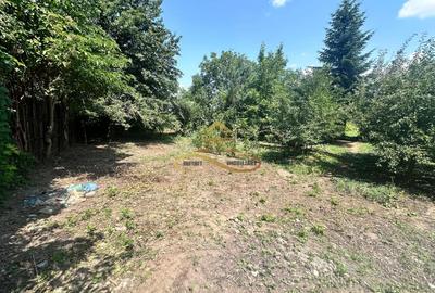 Teren intravilan de vanzare Bacau - 4