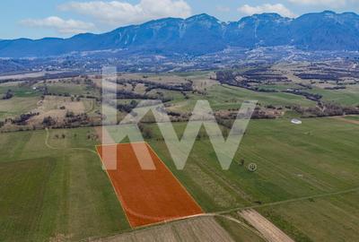 Teren agricol intravilan de 8557 mp, în Zărnești