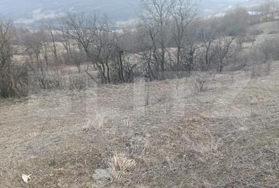 Teren Construcții intravilan de 4300 mp, în Ampoița