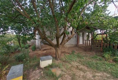 Casa noua cu 3 camere in Siria, 85 mp utili, teren 1.530 mp, livada si vie - 2