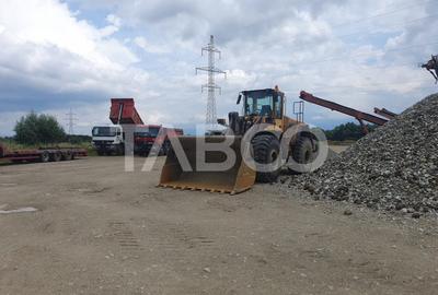 Teren si hala 42.000 mp + zona administrativa la 7 minute de Fagaras - 8