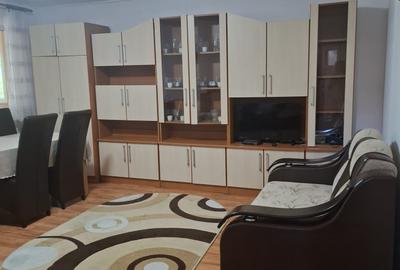 Casa  eleganta  constructie BCA , teren 300 MP, gaz,Lumina, 113900 euro - 8
