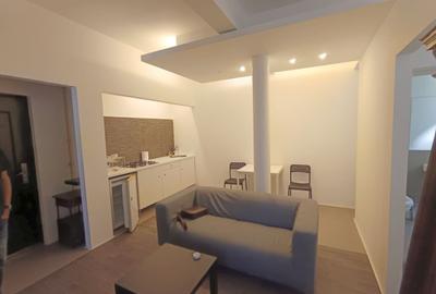 Inchiriere Studio - Garsoniera dubla - zona Metrou Piata Victoriei - 2