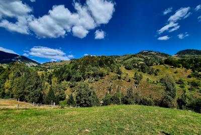 TEREN INTRAVILAN cu UTILITATI – PRIDEL, MĂGURA | PRIVELIȘTE DEOSEBITA/INVESTITIE - 5