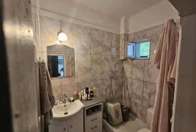 Casă individuală cu SAD, P+M, 2 apartamente, Timișoara, zona Lipovei, comision 0 - 13