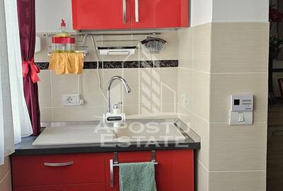 Apartament 2 camere de vânzare, zona Aradului, Timisoara - 8