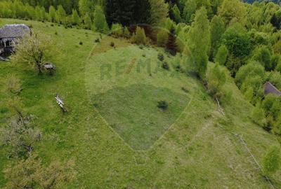 Teren 38,704mp Sirnea | 2.000 mp Intravilan | 36,704 Extravilan - 6