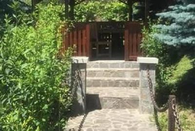 Casă Vilă cu 9 camere și piscină încălzită în localitatea Cornu - 3