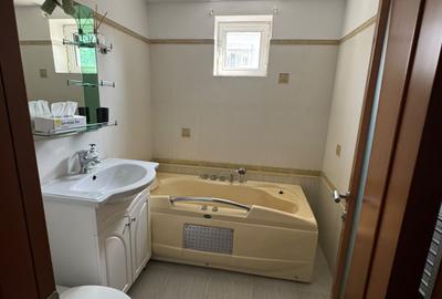 Berceni-Tulini Apartament 3 camere - 4