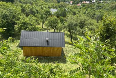 Casa de vacanta Nucsoara-Arges - 1