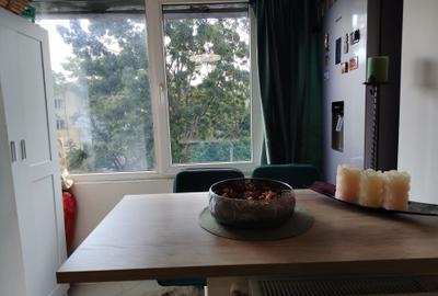 Apartament 2 camere Valea Rosie - Dacia - 8