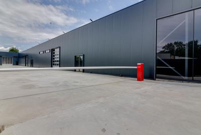 Reprezentanta PREMIUM| Hala Showroom 988mp, locatie exceptionala! - 19