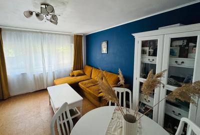 Piata ALBA IULIA/DECEBAL,nestradal,apartament superb,ideal locuit,utilat complet - 2