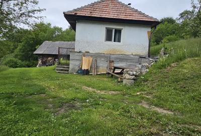 Domeniu Premium 1.7 Ha Intravilan Zărnești | Lizieră Pădure | Ideal Resort - 10