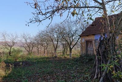 Teren Construcții intravilan de 2583 mp, în Sântelec