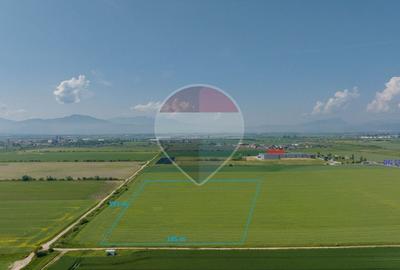 Teren Construcții intravilan de 31200 mp, în Feldioara